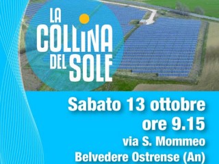 La Collina del Sole - Belvedere Ostrense