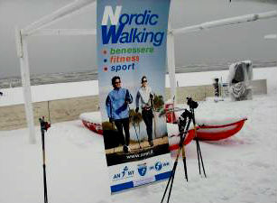 Una dimostrazione di nordic walking