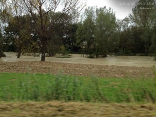 Fiume Nevola in piena a rischio esondazione