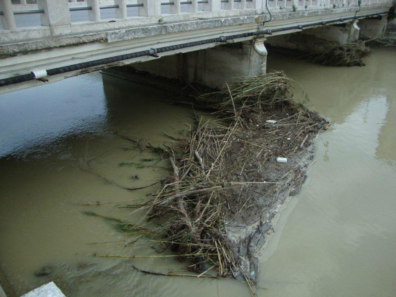 I residui sul fiume Misa di Senigallia dopo alcune piogge