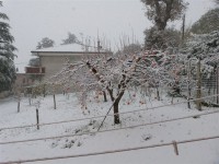Neve a Corinaldo - foto di Ilario Taus