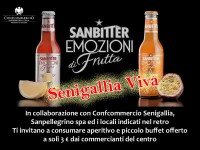 Il ticket del progetto "Senigallia Viva"