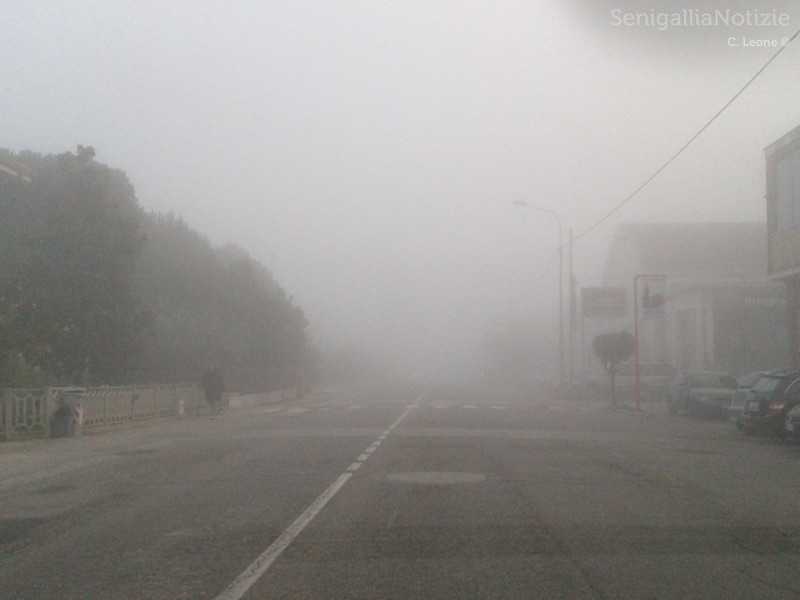 Fitta nebbia alla Cesanella di Senigallia sulla Statale Adriatica SS16