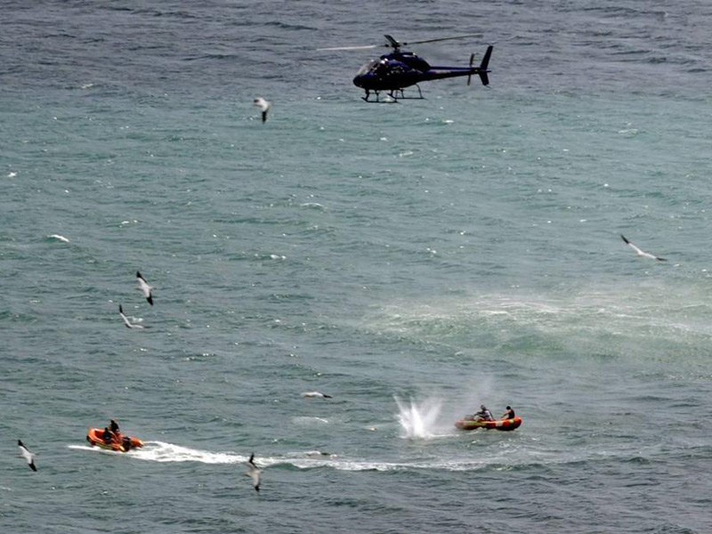 Squalo bianco ha attaccato un uomo in Nuova Zelanda