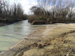 Il tratto fluviale ripulito