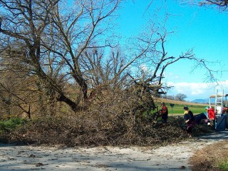 I danni del forte vento a Ostra - Foto di Giancarlo Barchiesi