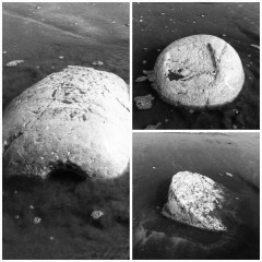 Le pietre trovate in spiaggia a Senigallia (Foto Buontempi)