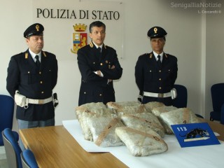 Sequestro marijuana