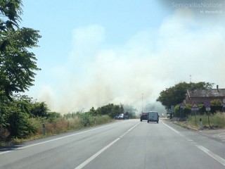 Il fumo innalzatosi dalla vegetazione in fiamme, a Marina di Montemarciano