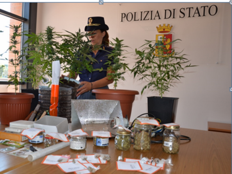 Lo stupefacente sequestrato dalla Polizia