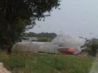 I danni all'azienda agricola manizza mirta