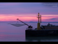 Foto Luigi Morbidelli-GIUGNO