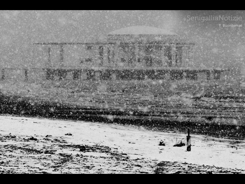 Nevica - Foto di Francesco Buontempi