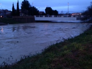 Fiume Misa a ponte Portone