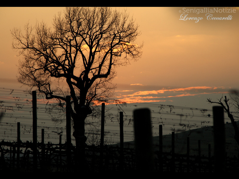 Una foto-giorno-lorenzo-ceccarelli