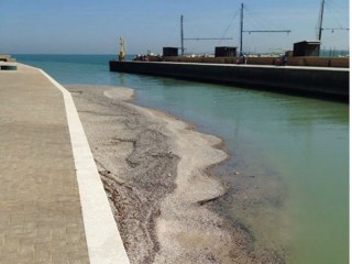 Un isolotto nel porto di Senigallia