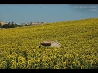 Una Foto al giorno-Andrea Giuliani