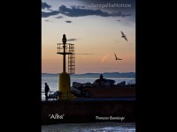 Foto al giorno Francesco Buontempi