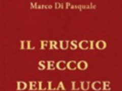 "Il fruscio secco della luce"