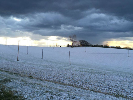 Neve sull'hinterland senigalliese