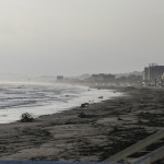 Detriti sulla spiaggia di velluto 24 marzo
