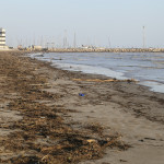 Detriti sulla spiaggia di velluto 24 marzo