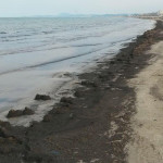 La spiaggia di Senigallia e i detriti a pasqua 2016