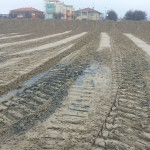 Lavori di ripascimento sulla spiaggia di ponente