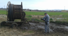 inquinato un tratto del torrente Rubbiano