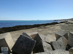 Rifiuti e detriti sulla spiaggia di velluto di Senigallia