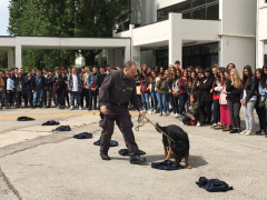 Al Panzini un incontro con la Guardia di Finanza di Ancona per "Educare alla legalità"