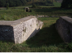 Anfiteatro Romano di Suasa