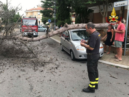 Albero caduto in via Lago di Garda. Intervento dei Vigili del Fuoco