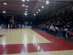 Goldengas Pallacanestro Senigallia