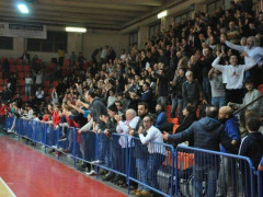 PalaPanzini, tifosi Pallacanestro Senigallia