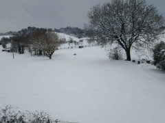 Neve sulle colline a Borgo Catena di Senigallia - Foto Angelica Di Stora