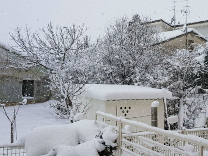 Neve a Senigallia, Borgo Ribeca