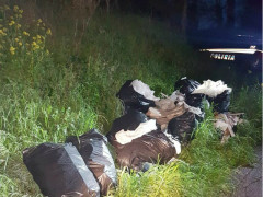 Discarica a cielo aperto a Montignan