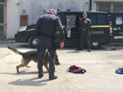 Fiamme Gialle al Panzini di Senigallia