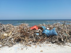 degrado sulla spiaggia di Montemarciano