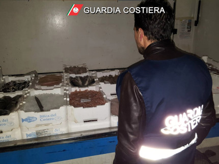 Controlli Guardia Costiera su filiera ittica nelle Marche