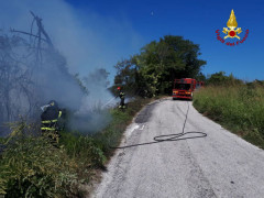 Incendio sterpi