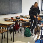 Controlli antidroga dei Carabinieri al campus scolastico di Senigallia