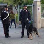 Controlli antidroga dei Carabinieri al campus scolastico di Senigallia