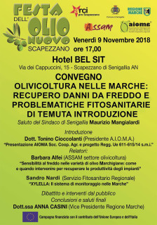 Convegno sull'olivicoltura nelle Marche alla Festa dell'Olio Nuovo 2018 - locandina