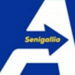 Azione Senigallia