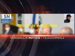 videogiornale acquaroli