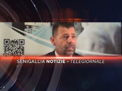 videogiornale maurizio mangialardi