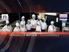 videogiornale panzini