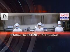 videogiornale pamzini max